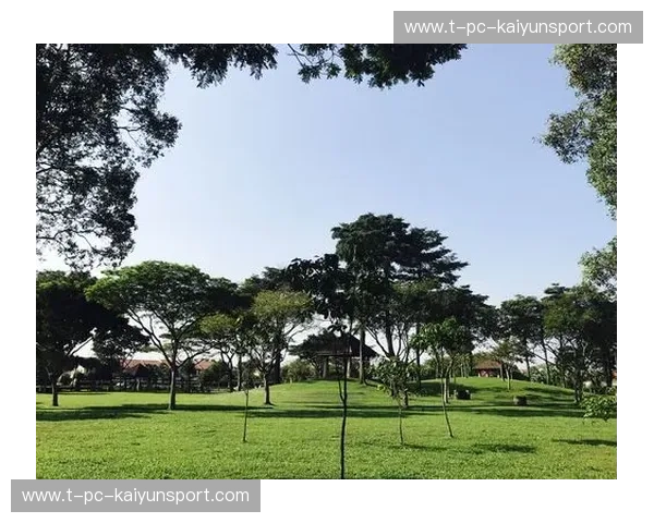 跨越山海的绿茵烽火：当广州恒大的红色血脉碰撞柔佛新山的紫色传奇